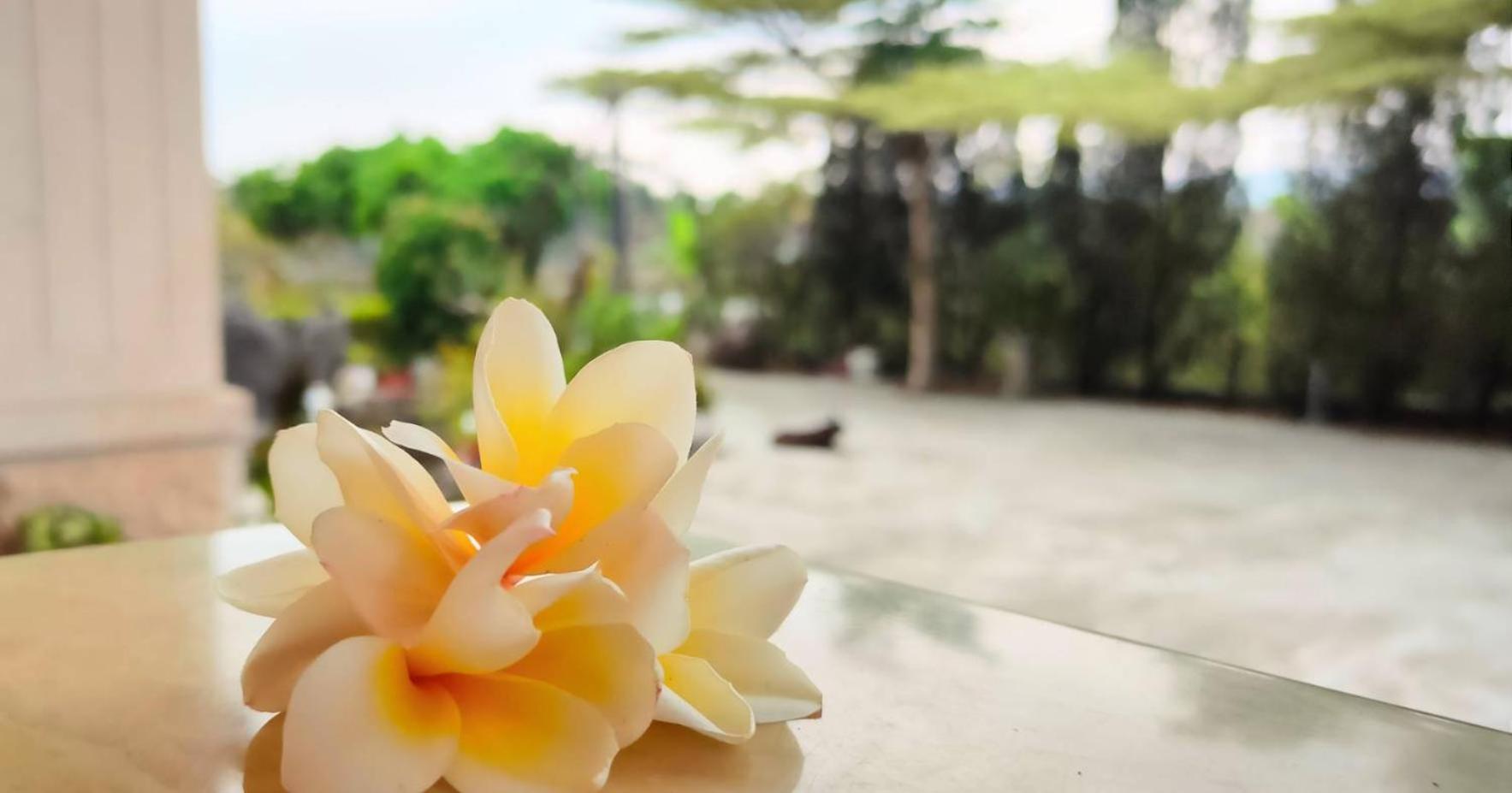 登雲villa Shan-lin Ngoại thất bức ảnh